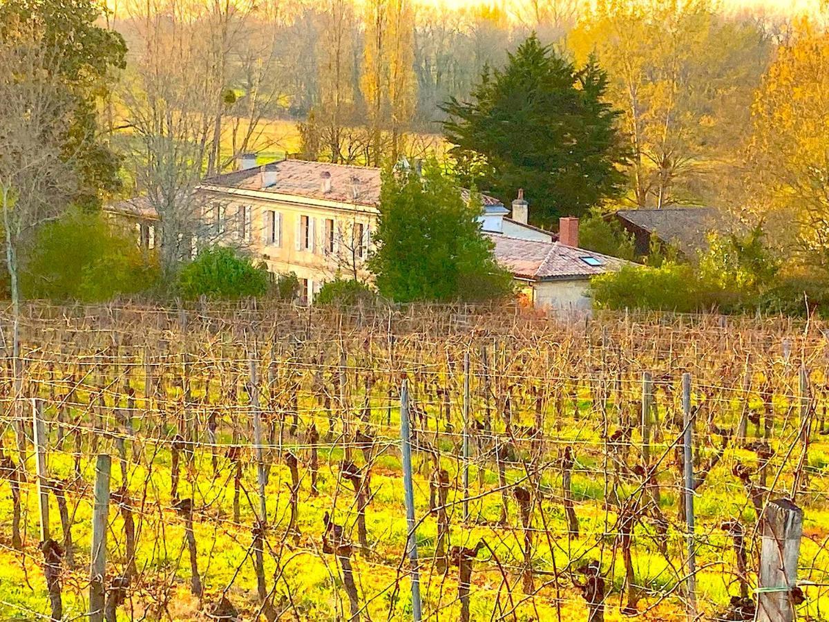 Fabuleux - Domaine Du Moulin D'Andraut Bordeaux-Chevaux-Golf-St Emilion Villa Montussan Екстериор снимка