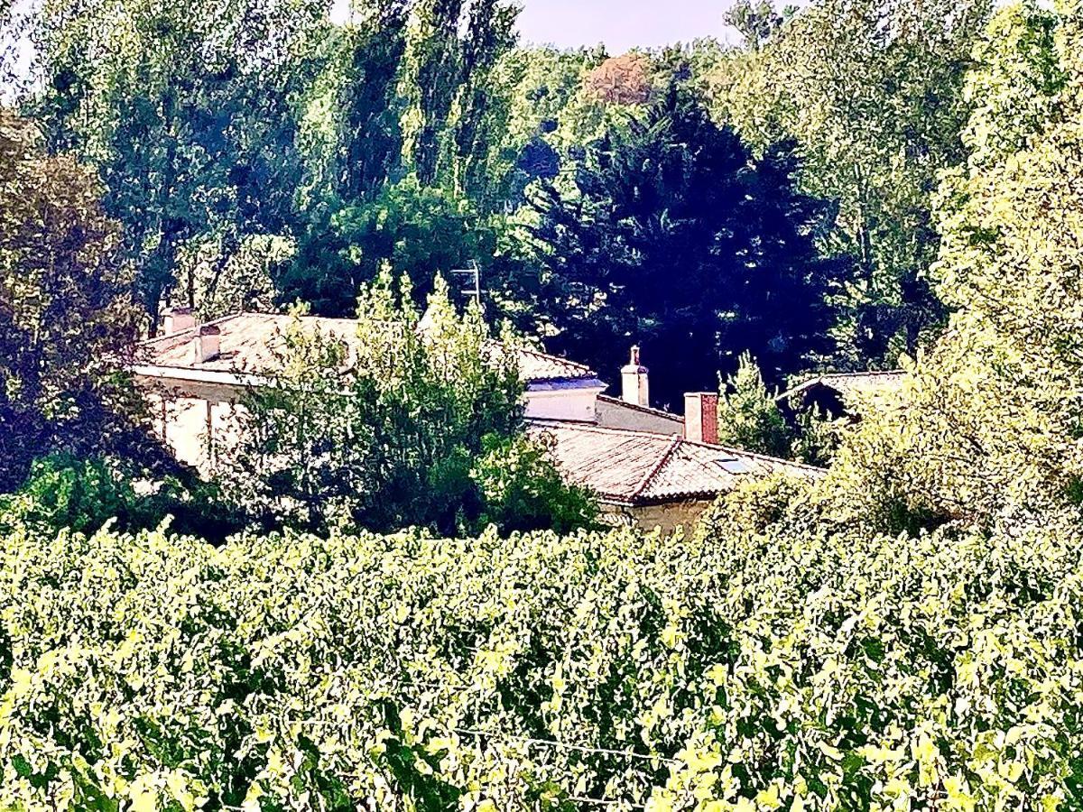 Fabuleux - Domaine Du Moulin D'Andraut Bordeaux-Chevaux-Golf-St Emilion Villa Montussan Екстериор снимка