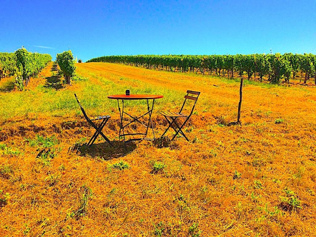 Fabuleux - Domaine Du Moulin D'Andraut Bordeaux-Chevaux-Golf-St Emilion Villa Montussan Екстериор снимка